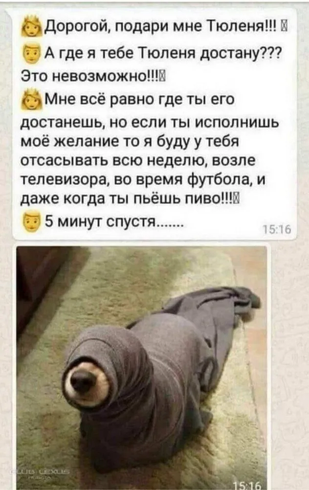 1571661952111533063.webp