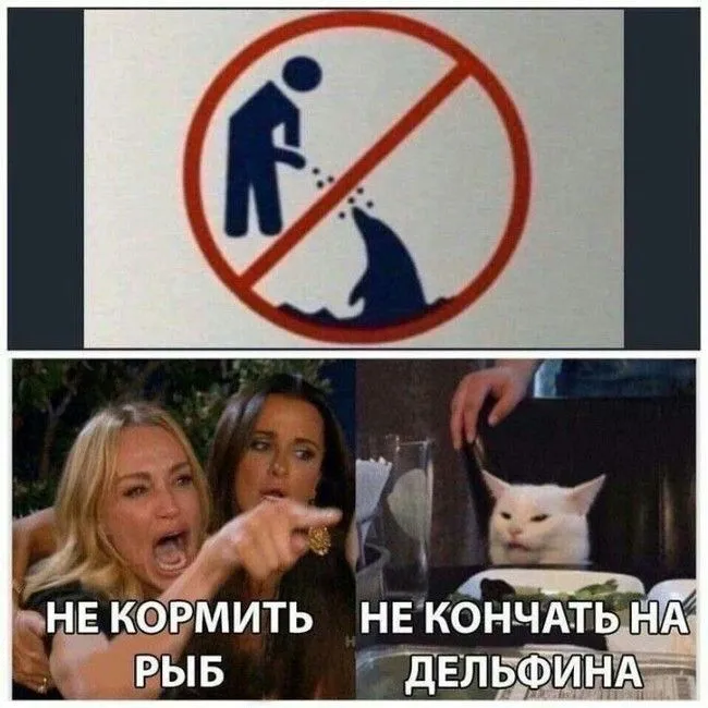 157871422916697611.webp