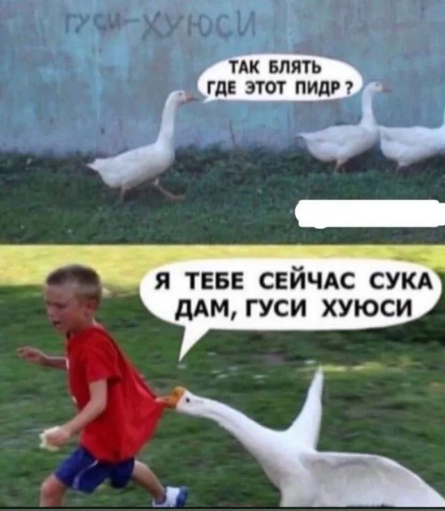 15803978.webp