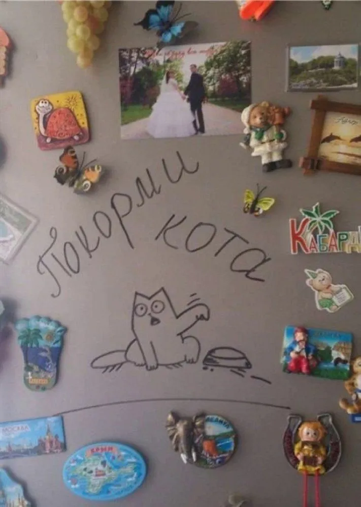 1588337187_9064552zf3_tumb_660.webp