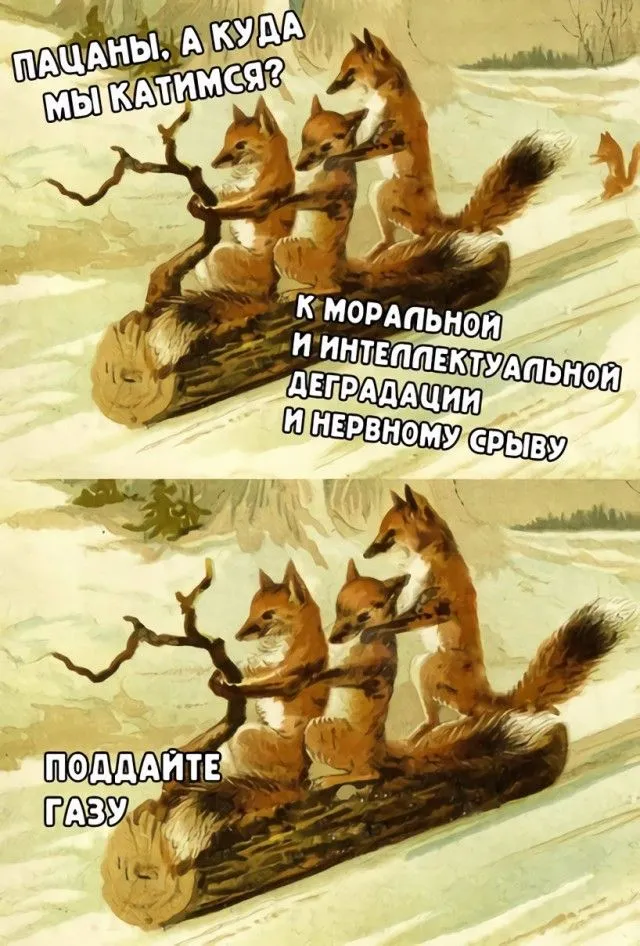 15905871.webp