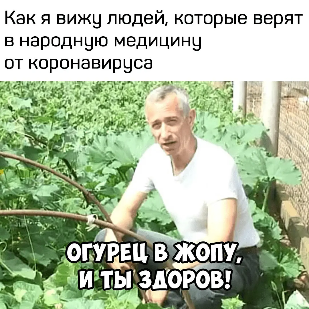 1591736248160798751.webp