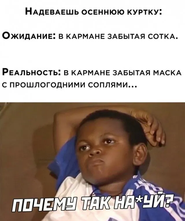 15971154.webp