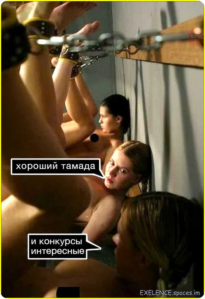 15Ap_(6)-world74.spcs.bio.webp