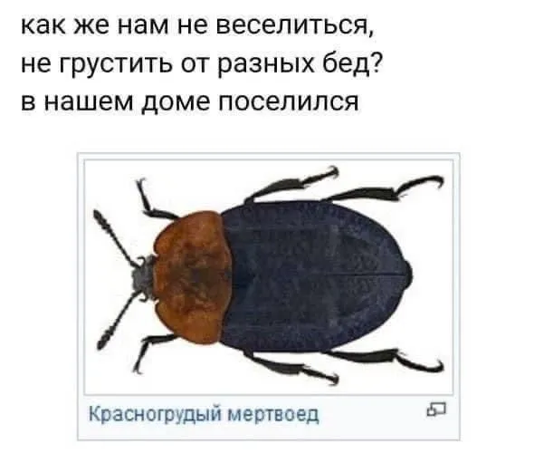 15B5615D-964F-4B85-AC58-5B758C394859.webp