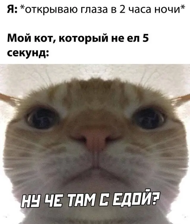 1602242329_0001.webp