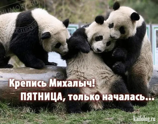 1605285888125.webp