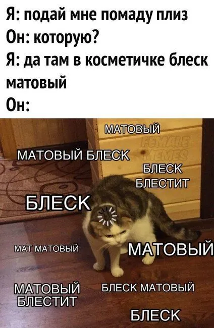 16074682911201261.webp