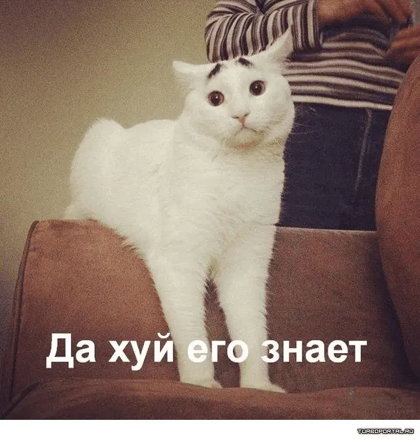 1607499016090.webp