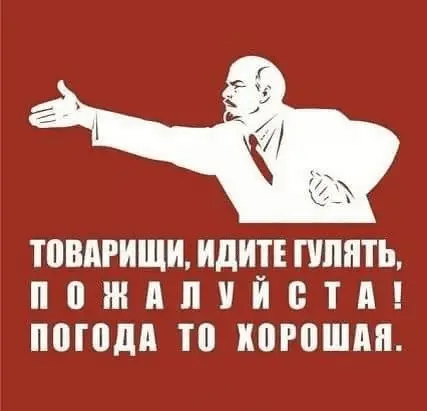 1608746142079.webp