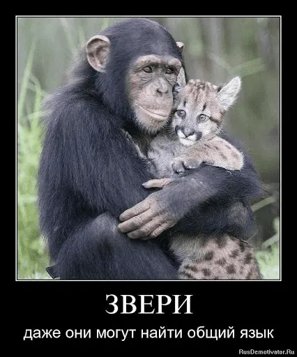 1612516067786.webp