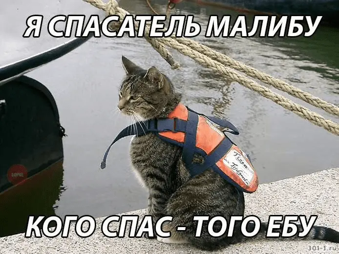 1612892825517.webp
