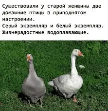 1614718002224.webp