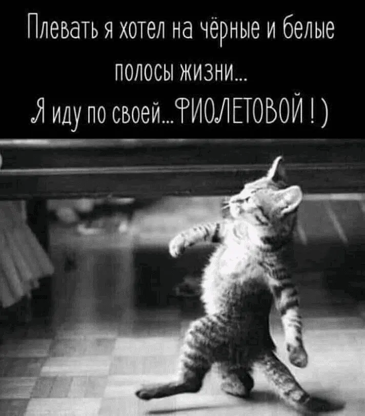 1614718669073.webp