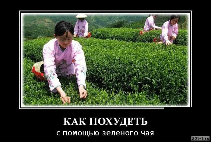 1616355451154.webp