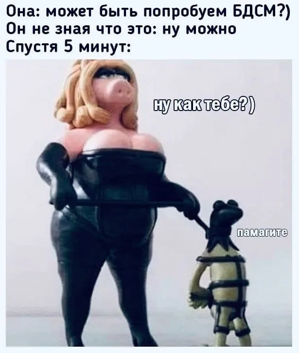 1616838812_i-smeshnye-kartinki-0.webp