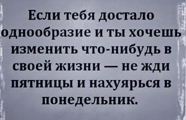 1616998575665.webp