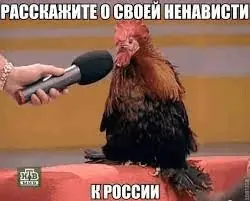 1617136543426.webp