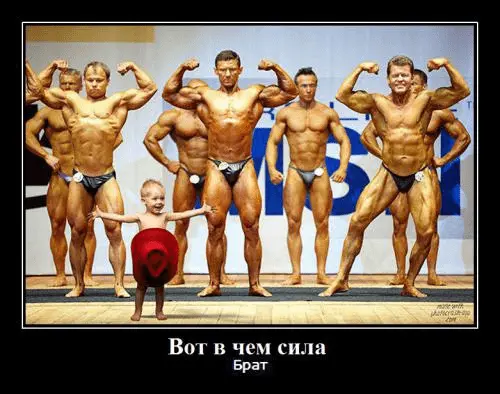 1617273237233.webp