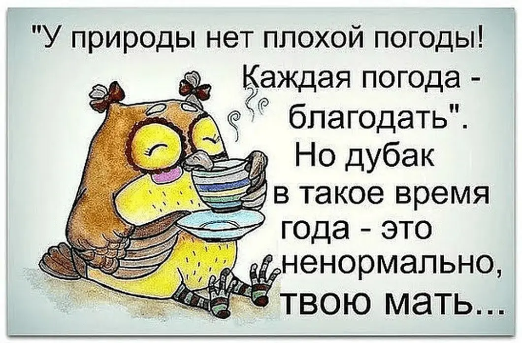 1617909317338.webp