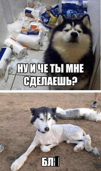 1617982734369.webp