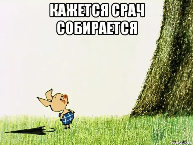 1619367870691.webp