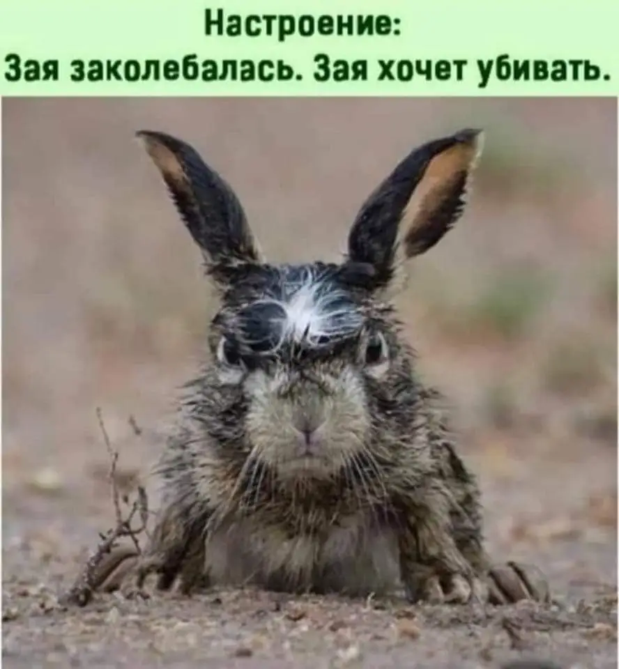 1621343188.webp
