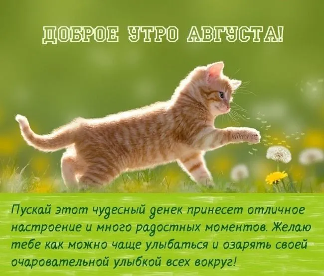 1626333434_1.webp