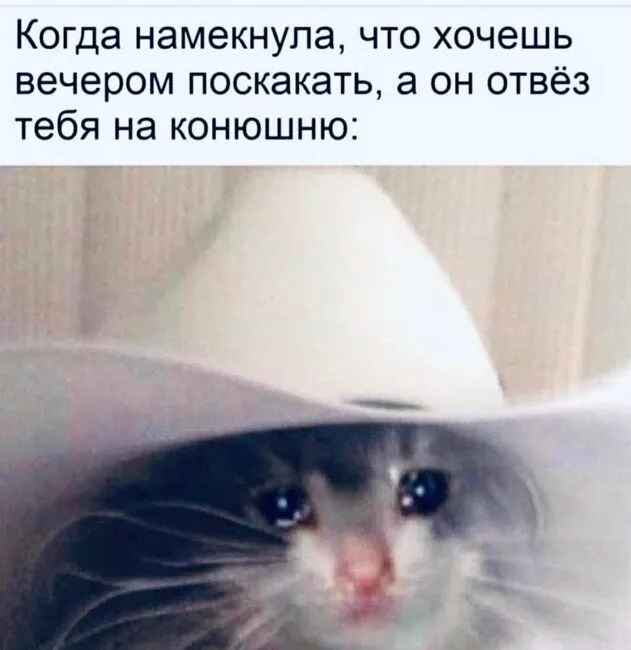 1627723293_pro-seks-1.webp