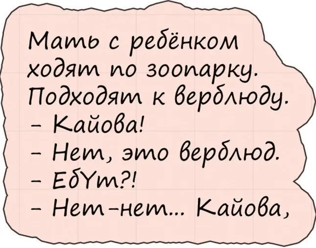 1628414027442.webp