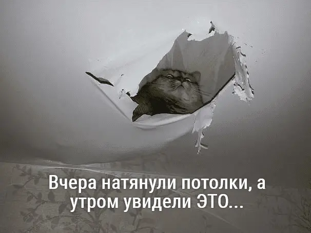 1628417562917.webp