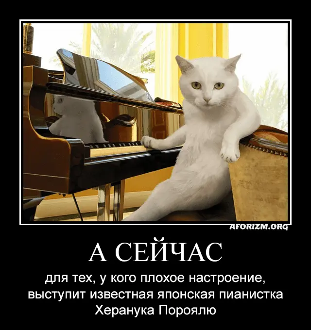 1628890665572.webp