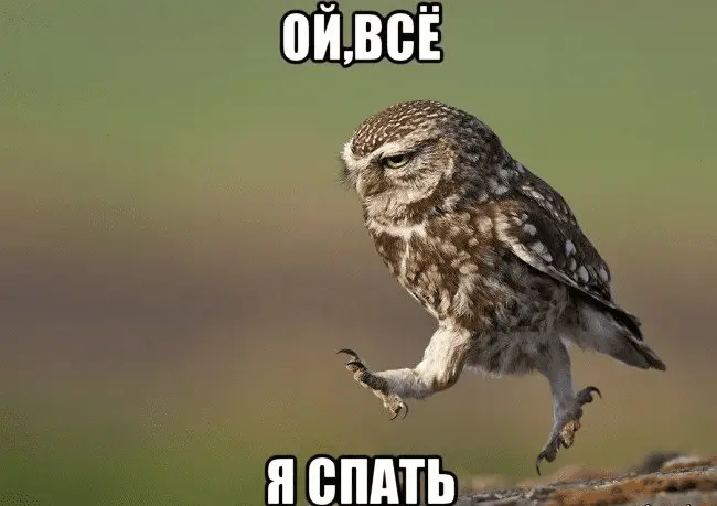 1628891068369.webp