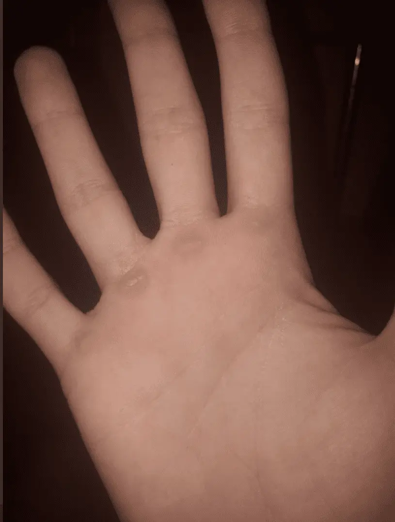 1629311891238.webp