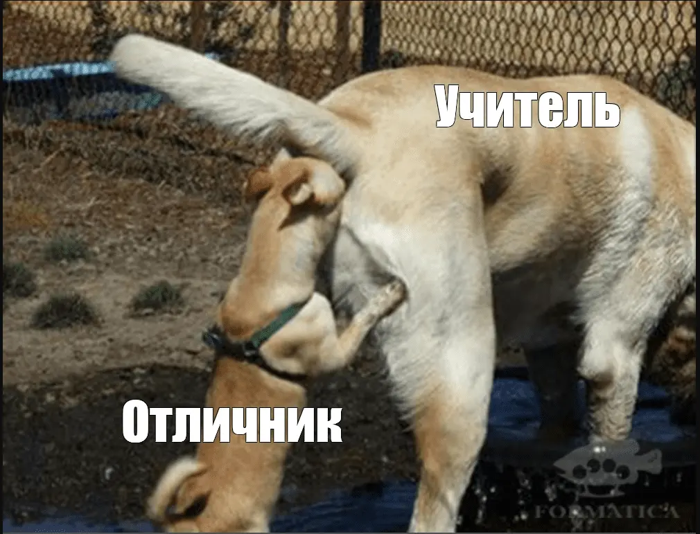 1629366649496.webp