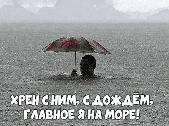 1629551333991.webp