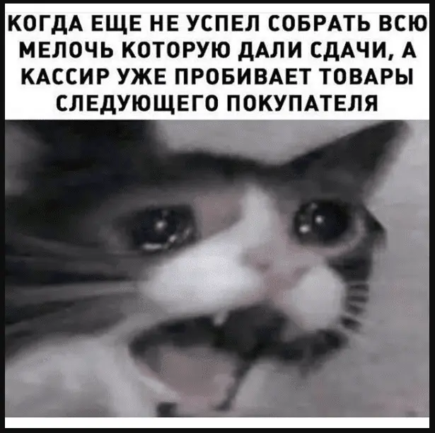 1629582176202.webp