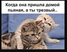 1629840510546.webp