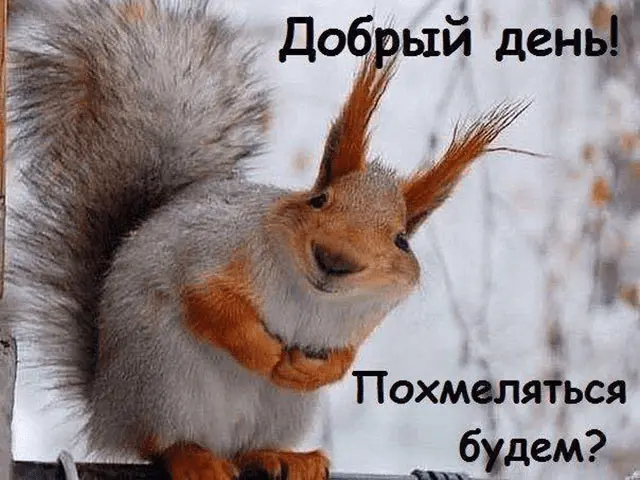 1629909948538.webp