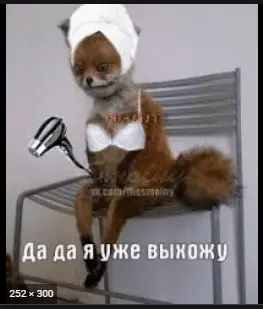 1629914889851.webp