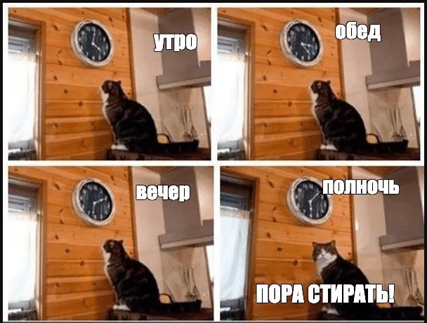1629928501330.webp