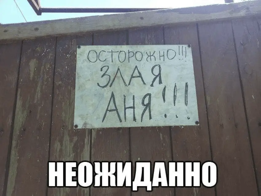1630052301494.webp