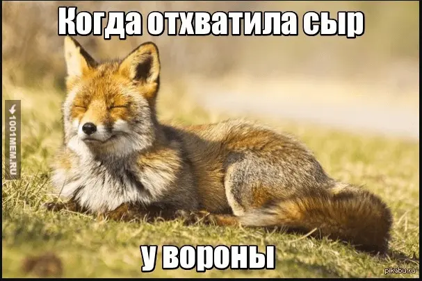 1630321082745.webp