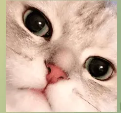 1630334634750.webp