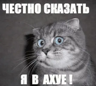 1630443210946.webp
