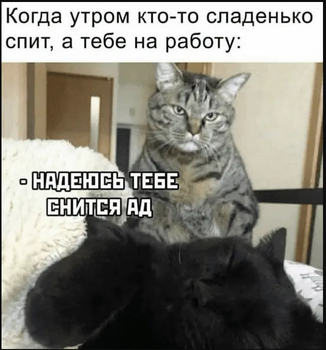 1630584753660.webp