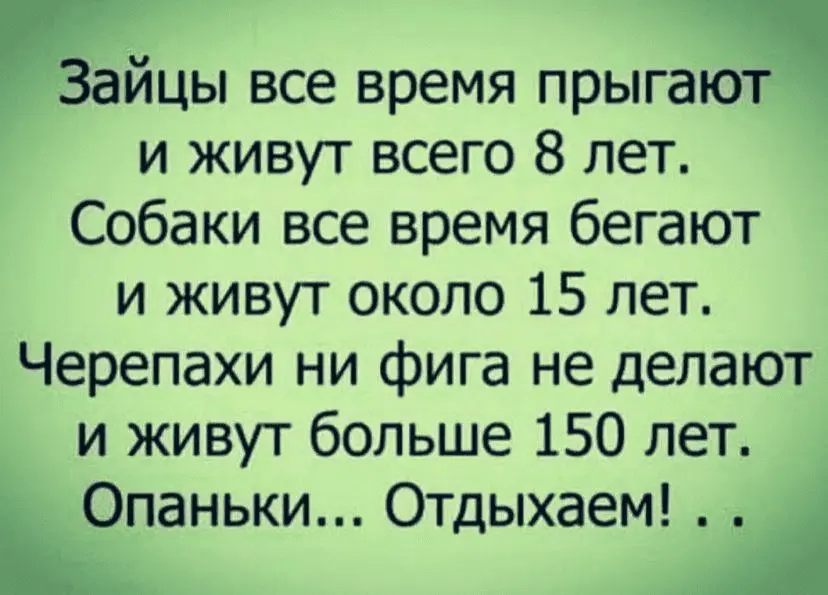 1630588021652.webp