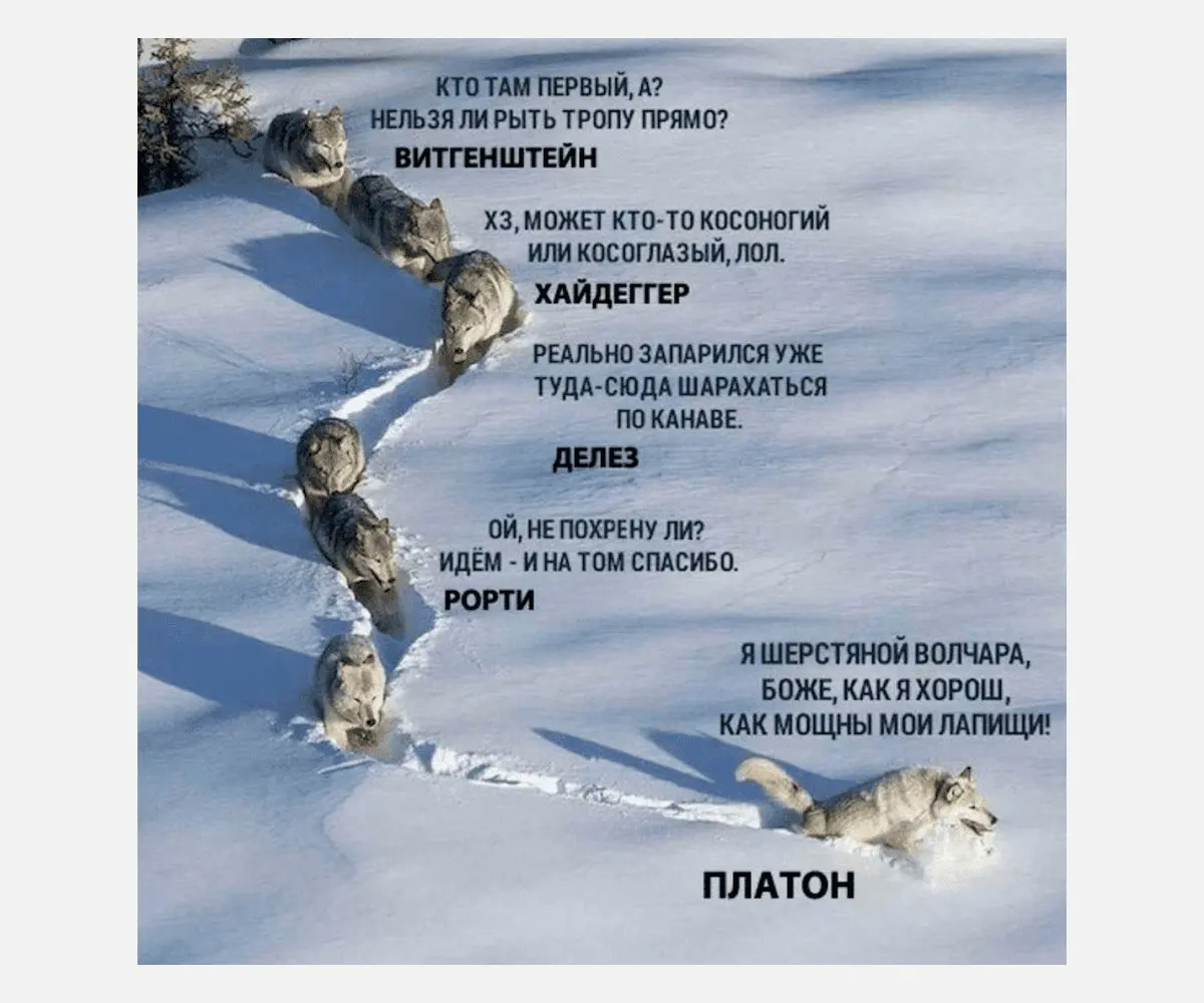 1630659906269.webp
