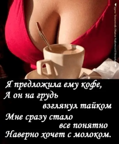 1631628559237.webp