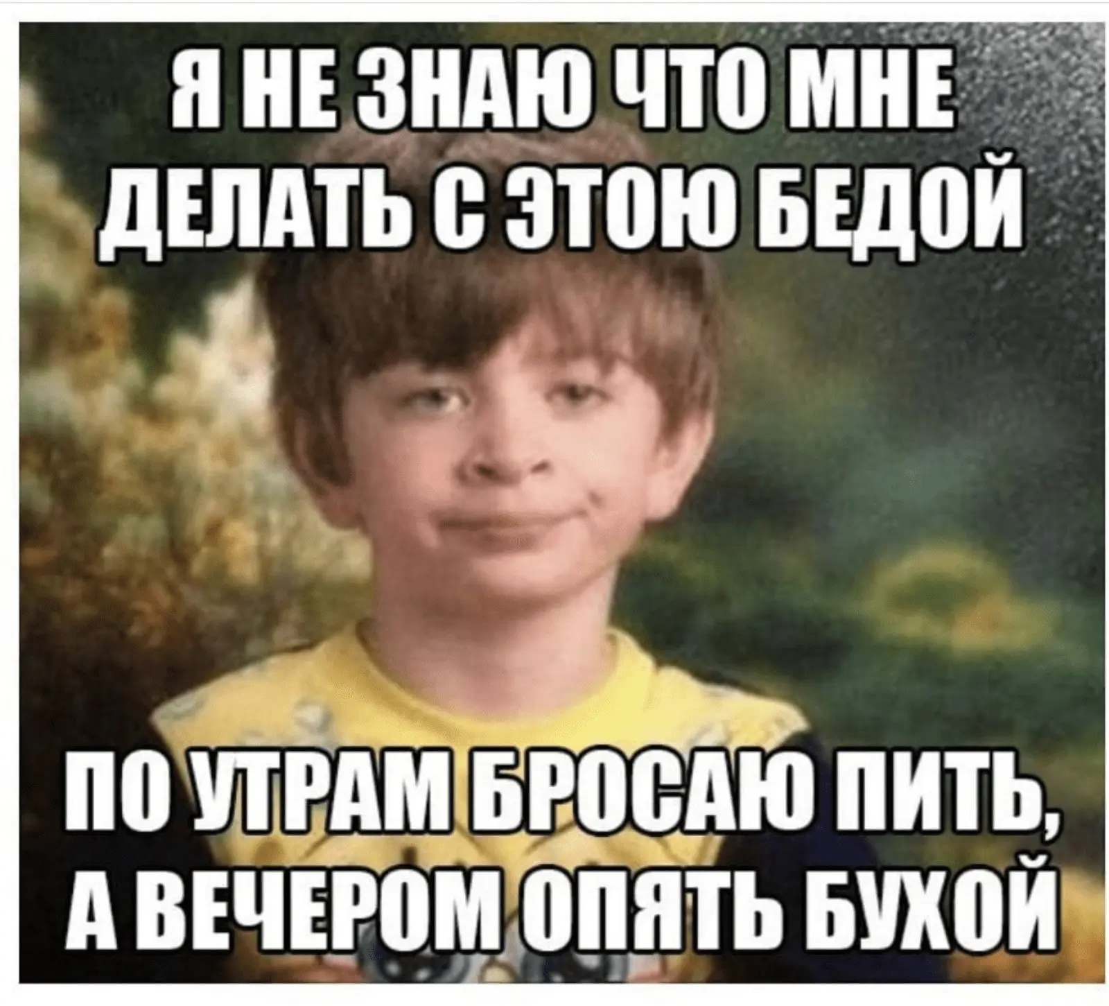 1631628772588.webp